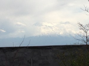 Masisevenclearernohouses