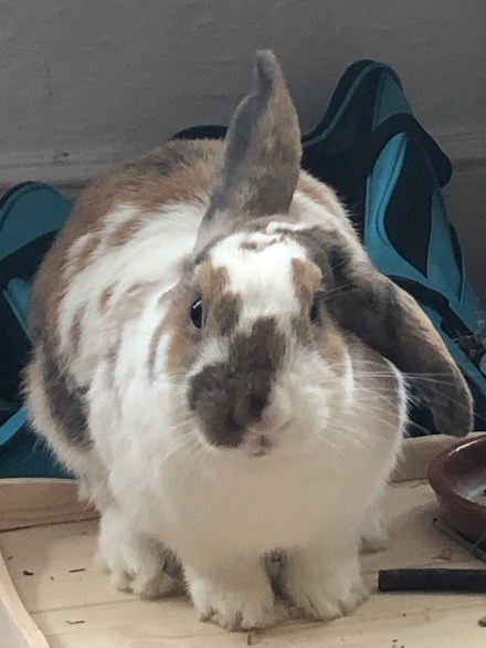 bxak4lnfTlO%NvBn%XO5Ow